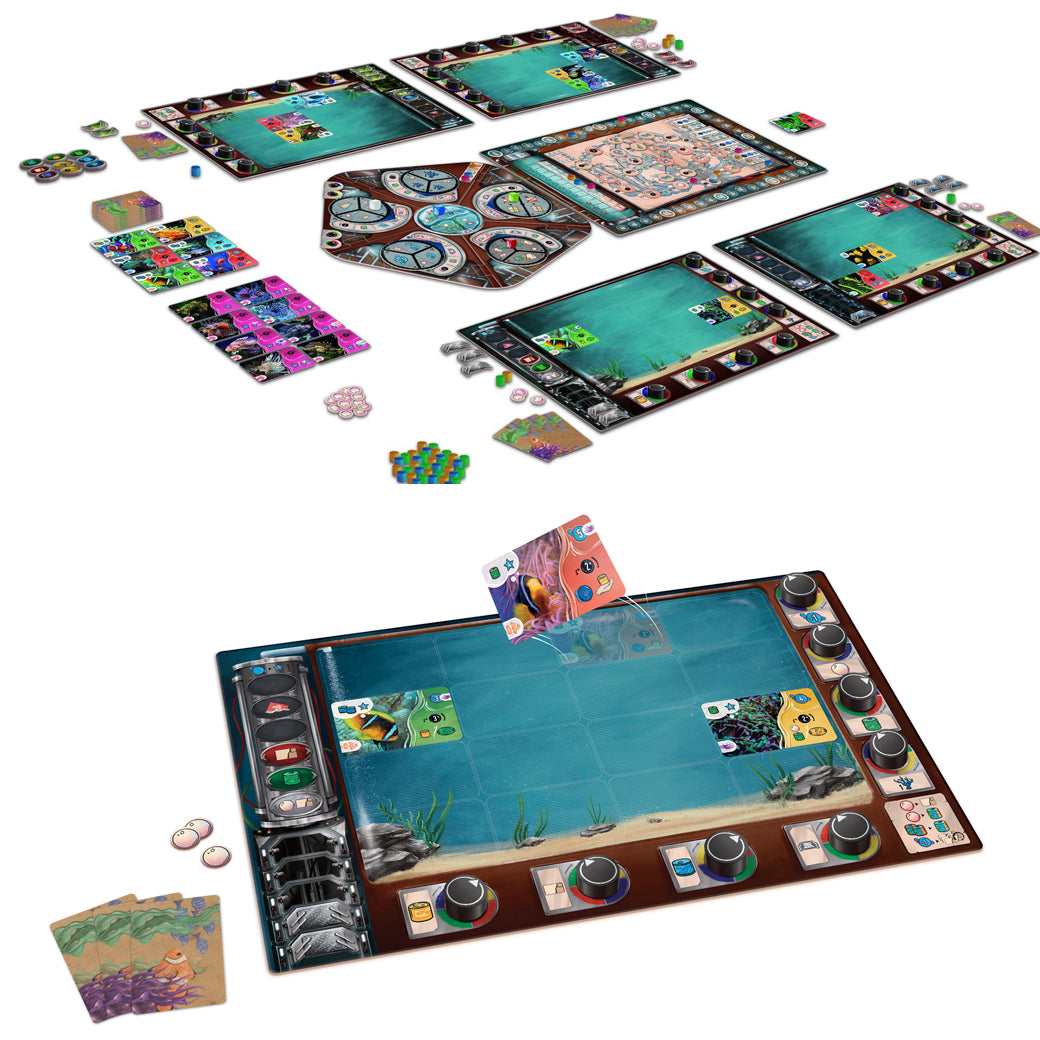 Aquaria (Enero 2026)