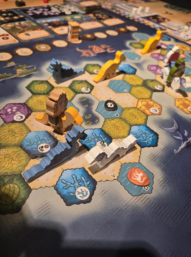 Criaturas Maravillosas Pack