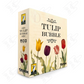 Tulip Bubble